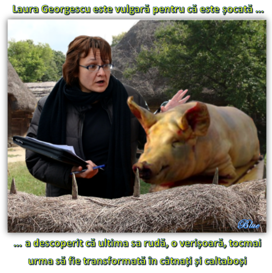Laura Georgescu