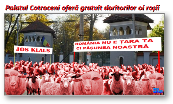 Oile roșii au invadat Palatul Cotroceni